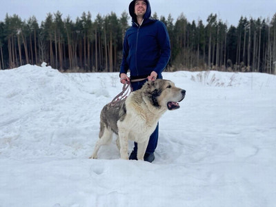 Нажмите, для просмотра в полном размере...