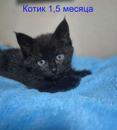 Нажмите, для просмотра в полном размере...