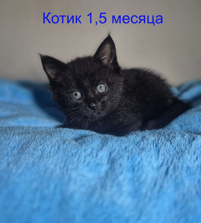 Нажмите, для просмотра в полном размере...